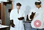 Immagine di Fire Fighting chemicals United States USA, 1971, secondo 32 filmato di repertorio 65675068265