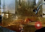 Immagine di Fire Fighting chemicals United States USA, 1971, secondo 43 filmato di repertorio 65675068265