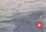 Standbild Öl Minderung Experiment Newport Rhode Island USA, 1970, aus Sekunde 19 historischem Filmmaterial Videoclip 65675068271
