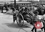 Image of Japanese troops Pacific Theater, 1945, second 11 stock footage video 65675068280