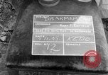 Image of Japanese troops Pacific Theater, 1945, second 11 stock footage video 65675068282