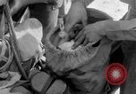 Image of Japanese troops Pacific Theater, 1945, second 14 stock footage video 65675068282