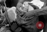 Image of Japanese troops Pacific Theater, 1945, second 18 stock footage video 65675068282