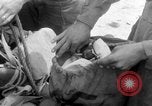 Image of Japanese troops Pacific Theater, 1945, second 20 stock footage video 65675068282