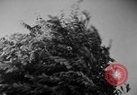 Image of natives Czechoslovakia, 1937, second 13 stock footage video 65675068286