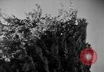 Image of natives Czechoslovakia, 1937, second 15 stock footage video 65675068286
