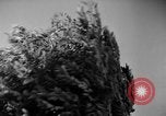 Image of natives Czechoslovakia, 1937, second 16 stock footage video 65675068286