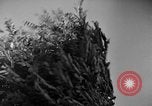 Image of natives Czechoslovakia, 1937, second 17 stock footage video 65675068286