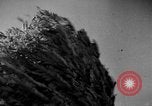 Image of natives Czechoslovakia, 1937, second 18 stock footage video 65675068286