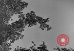 Image of natives Czechoslovakia, 1937, second 27 stock footage video 65675068286