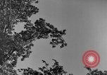 Image of natives Czechoslovakia, 1937, second 29 stock footage video 65675068286