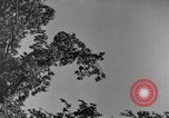 Image of natives Czechoslovakia, 1937, second 30 stock footage video 65675068286