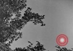 Image of natives Czechoslovakia, 1937, second 31 stock footage video 65675068286