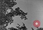 Image of natives Czechoslovakia, 1937, second 32 stock footage video 65675068286