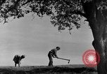 Image of natives Czechoslovakia, 1937, second 44 stock footage video 65675068286