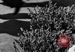 Image of subway station Prague Czechoslovakia, 1937, second 10 stock footage video 65675068287