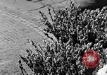 Image of subway station Prague Czechoslovakia, 1937, second 13 stock footage video 65675068287