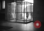 Immagine di Funzionari discutere La Cecoslovacchia, 1938, secondo 22 filmato di repertorio 65675068292