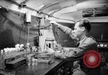 Immagine di Ventiquattresimo Ospedale Generale Firenze Italia, 1945, secondo 14 filmato di repertorio 65675068309