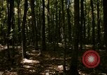 Image of Sylvania Recreation Area Michigan United States USA, 1967, second 3 stock footage video 65675068312