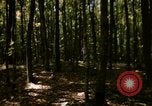 Image of Sylvania Recreation Area Michigan United States USA, 1967, second 4 stock footage video 65675068312