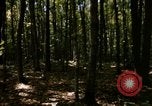Image of Sylvania Recreation Area Michigan United States USA, 1967, second 5 stock footage video 65675068312