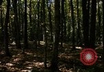 Image of Sylvania Recreation Area Michigan United States USA, 1967, second 6 stock footage video 65675068312