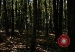 Image of Sylvania Recreation Area Michigan United States USA, 1967, second 7 stock footage video 65675068312