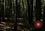 Image of Sylvania Recreation Area Michigan United States USA, 1967, second 8 stock footage video 65675068312