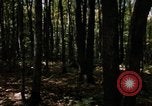 Image of Sylvania Recreation Area Michigan United States USA, 1967, second 9 stock footage video 65675068312