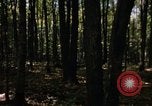 Image of Sylvania Recreation Area Michigan United States USA, 1967, second 10 stock footage video 65675068312