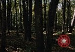 Image of Sylvania Recreation Area Michigan United States USA, 1967, second 11 stock footage video 65675068312