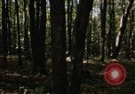 Image of Sylvania Recreation Area Michigan United States USA, 1967, second 12 stock footage video 65675068312