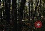 Image of Sylvania Recreation Area Michigan United States USA, 1967, second 13 stock footage video 65675068312