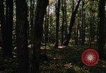 Image of Sylvania Recreation Area Michigan United States USA, 1967, second 14 stock footage video 65675068312