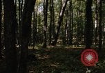 Image of Sylvania Recreation Area Michigan United States USA, 1967, second 15 stock footage video 65675068312