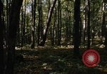 Image of Sylvania Recreation Area Michigan United States USA, 1967, second 16 stock footage video 65675068312