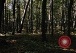 Image of Sylvania Recreation Area Michigan United States USA, 1967, second 17 stock footage video 65675068312