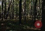 Image of Sylvania Recreation Area Michigan United States USA, 1967, second 18 stock footage video 65675068312