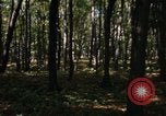 Image of Sylvania Recreation Area Michigan United States USA, 1967, second 19 stock footage video 65675068312