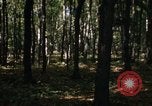 Image of Sylvania Recreation Area Michigan United States USA, 1967, second 20 stock footage video 65675068312