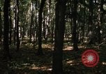 Image of Sylvania Recreation Area Michigan United States USA, 1967, second 21 stock footage video 65675068312