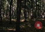Image of Sylvania Recreation Area Michigan United States USA, 1967, second 22 stock footage video 65675068312