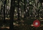 Image of Sylvania Recreation Area Michigan United States USA, 1967, second 23 stock footage video 65675068312