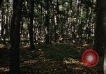 Image of Sylvania Recreation Area Michigan United States USA, 1967, second 24 stock footage video 65675068312