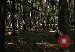 Image of Sylvania Recreation Area Michigan United States USA, 1967, second 25 stock footage video 65675068312