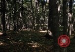 Image of Sylvania Recreation Area Michigan United States USA, 1967, second 26 stock footage video 65675068312