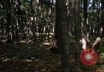 Image of Sylvania Recreation Area Michigan United States USA, 1967, second 27 stock footage video 65675068312