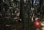 Image of Sylvania Recreation Area Michigan United States USA, 1967, second 28 stock footage video 65675068312