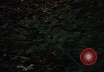Image of Sylvania Recreation Area Michigan United States USA, 1967, second 31 stock footage video 65675068312